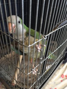 IMG_1705