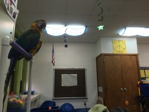 IMG_2413