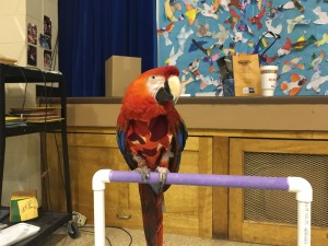 IMG_2541