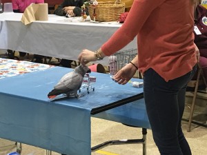 IMG_2576