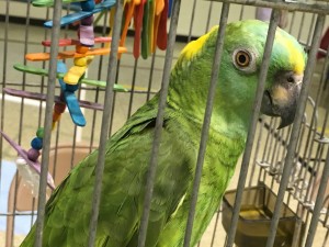 IMG_2989