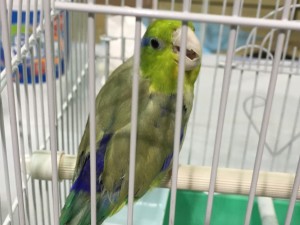 IMG_2991