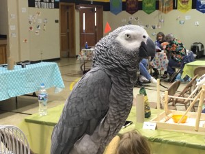 IMG_3001