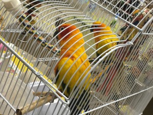 IMG_3002
