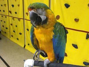 IMG_3005