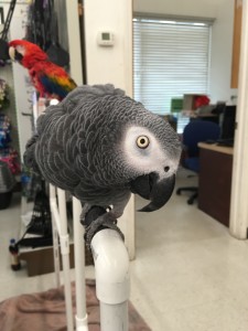 IMG_3081