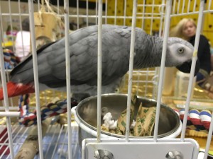 IMG_3491