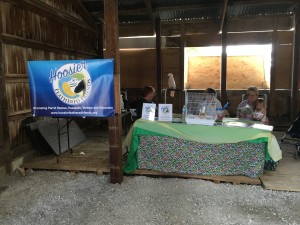 IMG_3842