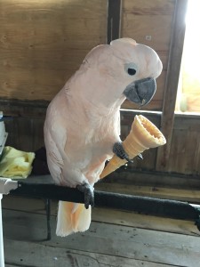 IMG_3852