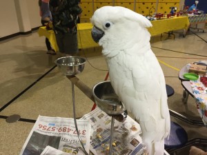 IMG_4184