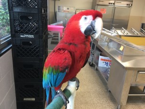 img_0113