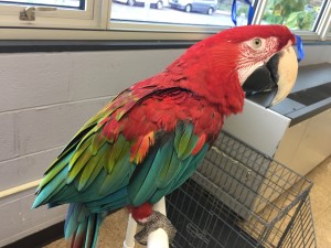img_0117