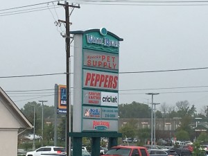 img_0184