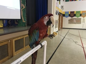 IMG_0335