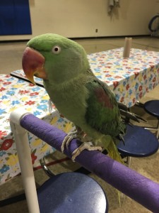 img_0342