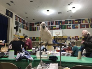 IMG_0345