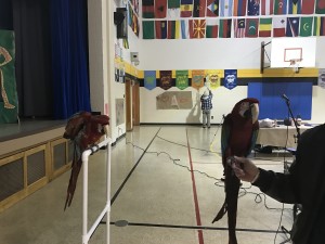 IMG_0347