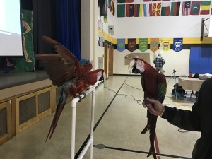IMG_0348
