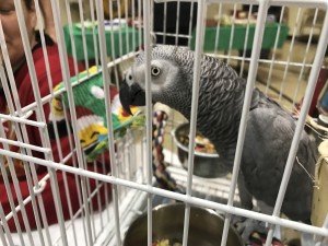 IMG_0352
