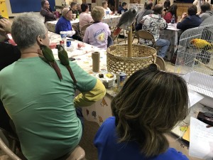 IMG_0569